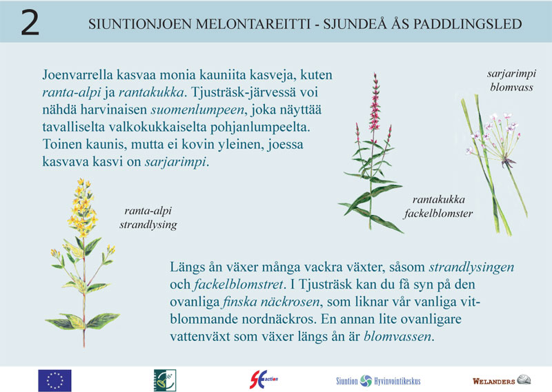 Tavla 2/15 från naturstig för paddlare