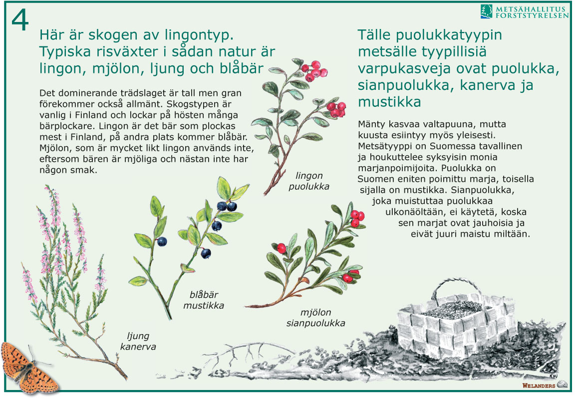 Tavla 4/7 från naturstig i Kristinestad 