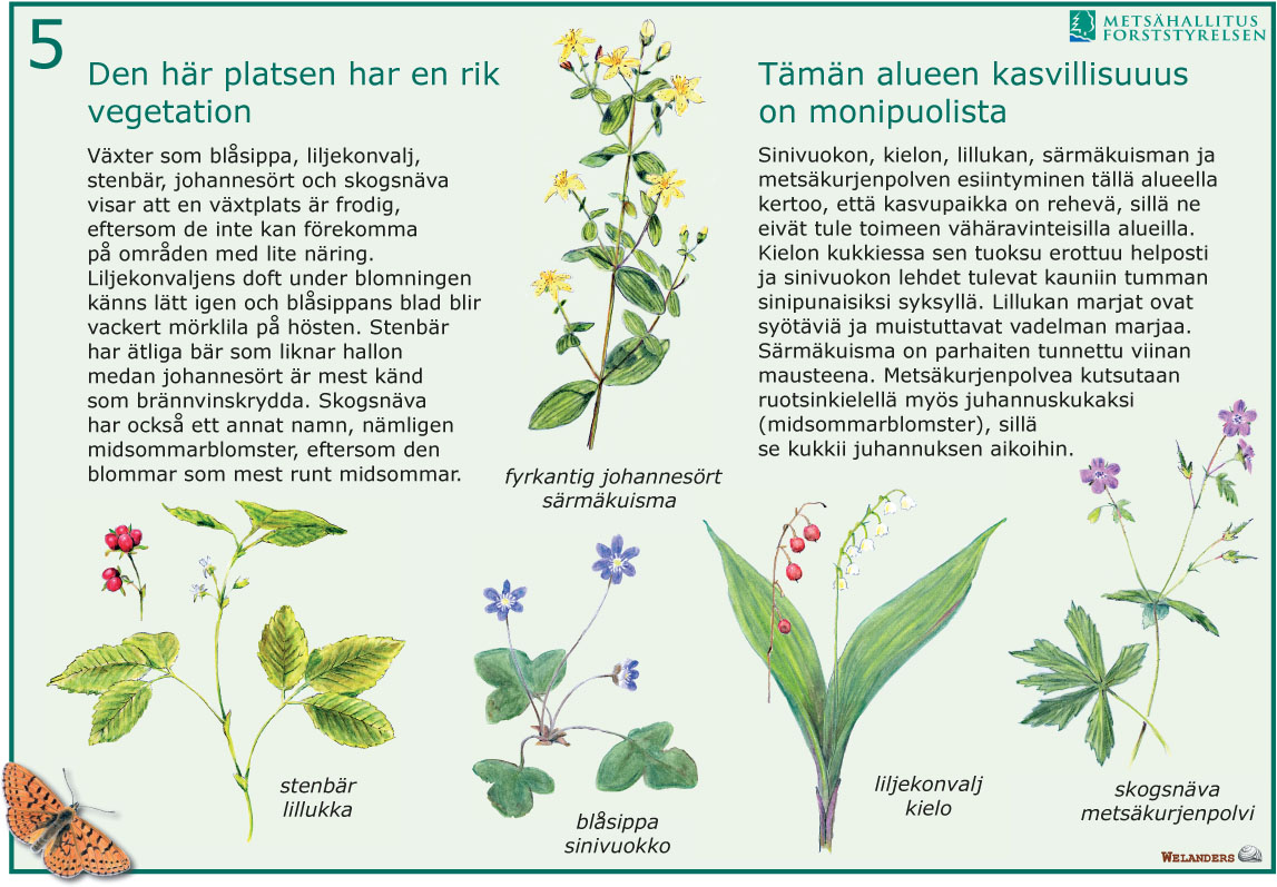 Tavla 5/7 från naturstig i Kristinestad 